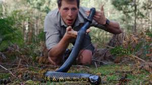 Op instagram blikt de bioloog terug op de gebeurtenis. Oproep Wat Wil Jij Weten Van Freek Vonk Nos Jeugdjournaal