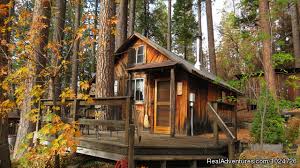 Moreover, house rentals are ideal for large groups, as most can accommodate 8 guests. Yosemite Cabins For Rent Cabin