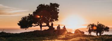 About SLO Insurance Services LLC