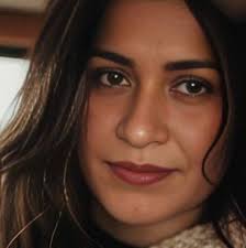 Ooh this looks like a fun 🤩 project ~ Making a Popsicle Craft Sticks (in  playdough) Zoo 🦒🐘🦓 As spotted over