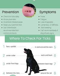Veterinarians in fort wayne, in. Fort Wayne Pet Hospital Facebook