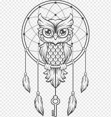 Selain itu, spesies ini juga dilindungi di indonesia. Burung Hantu Penangkap Mimpi Dreamcatcher Owl Kreatif Surga Anak Kucing Kreatif Buku Mewarnai Dreamcatcher Owl Lukisan Cat Air Cabang Monokrom Png Pngwing