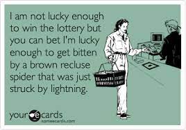 I Am Not Lucky Enough To Win The Lottery But You Can Bet I M Lucky Enough To Get Bitten By A Brown Recluse Spider That Was Just Struck By Lightning I
