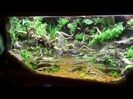 Paludarium The Secret Garden Sz Update 24 Tag Youtube In 2020 Aquarium Landscape Fish Tank Terrarium Aquascape Aquarium