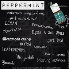 Kombinasi 3 obat cefadroxil alaxan fr dan. Brian Edward Brianrech59 Profile Pinterest