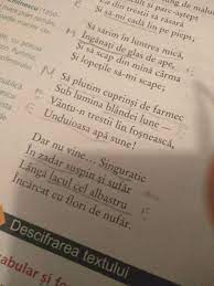 Funcţia principală a punctelor de suspensie este de a arăta o întrerupere a vorbirii. ExplicaÈ›i Rolul Folosirii Punctelor De Suspensie Din Ultima Strofa A Poeziei Dar Nu Vine Brainly Ro
