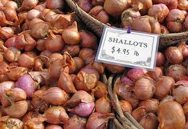 Growing shallots in pots 6 inches deep and 1 foot wide or wider is ideal. Shallots Planting Growing And Harvesting Planet Natural