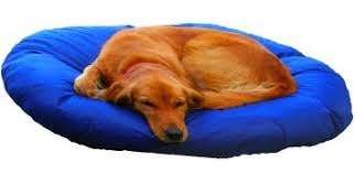 Compare ultimate dog bed with orthopedic memory foam mfi128069. Large 8 Sheets Kleen Sheets Disposable Pet Bed And Upholstery Covers Super Sale 9 99 Waterproof Pet Bed