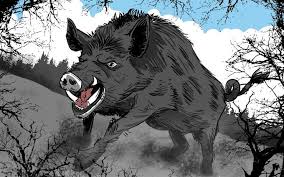 Hogzilla Wild Pig Hunting Wild Pig Pig Hunting Wild Hog