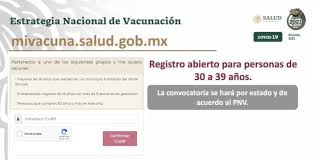 Paso a paso para registrarse en portal 'mi vacuna'. R Wyqcyed3xdxm