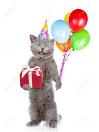 Alibaba.com offers 2,132 cat hat birthday products. Happy Cat In Birthday Hat With Bunch Of Balloons Standing On Hind Legs Isolated On White Background Stock Photo Picture And Royalty Free Image Image 96393744
