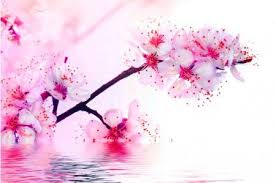 Idee Par Abril Araceli Sur Flores De Cerezo Fleur De Cerisier Dessins De Fleurs Pour Tatouage Fleurs