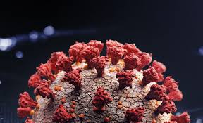 Chinese president xi jinping has warned the novel coronavirus is the worst public health crisis facing the country since its founding, as new outbreaks continued to expand in south korea and italy. Can You Become Immune To Coronavirus Science Smithsonian Magazine