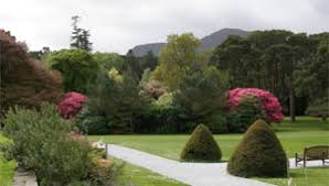 Image result for muckross house