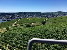 Die ringtour mit wandern, seilbahn, sessellift Bingen Am Rhein Aan De Overkant Picture Of Seilbahn Rudesheim Ruedesheim Am Rhein Tripadvisor