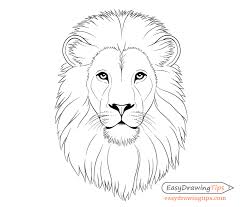 Check spelling or type a new query. How To Draw A Lion Face And Body Tutorials For Beginners