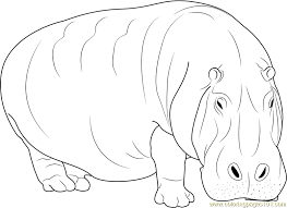 Discover thanksgiving coloring pages that include fun images of turkeys, pilgrims, and food that your kids will love to color. Hippo Coloring Pages Coloring Our World