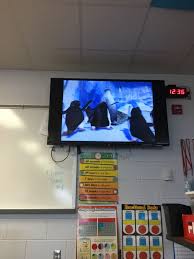 Pin By Xavier On Happy Feet Dvd 2007 Full Frame Flatscreen Tv Flat Screen Full Frame