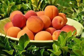 Best Diy Fruit Picking Sites In Atlanta Tips Forrent Fruit Picking Fruit Apricot