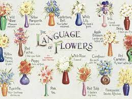 Blooming Lips A History Of Victorian Flower Language World Of Flowering Plants Flower Meanings Language Of Flowers Victorian Flowers