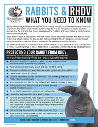 We did not find results for: Yuki The Magic Bunny Home Facebook