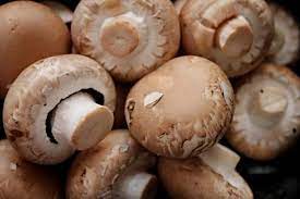 Can You Eat Mushrooms When Pregnant A Complete Guide Pregnancy Food Checker
