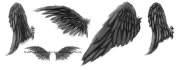 2 butterfly fairy wing brushes, 2 fairy wing brushes and 3 feathered or angel wing brushes. Feathered Wing Brushes Feather Wings Wings Png Photoshop Brush Set