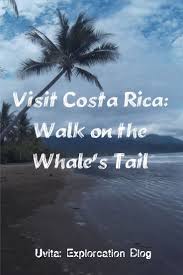 The Whales Tail Is Located In Marino Ballena National Park