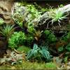 Jungle bob 3d aquarium background 36x13 inch for 30 gallon long thin grey 8292 $ 67.50 $ 49.99 sale. 1