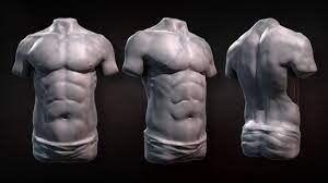 Snapshot of muscles in torso. Snapshot Of Muscles In Torso Anatomy 3d Model Male Torso Cgtrader