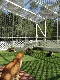 Using cat enclosures, cat fences, cat runs and catios, our modular components offer the flexibility to freestanding cat enclosure fencing can be used where there is no suitable existing boundary or my cats are so much happier now they can go outside! john. Pin By Craz7catgal On Catio Outdoor Cat Enclosure Outdoor Cat Enclosure Cat Area Cat Cages