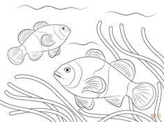 When autocomplete results are available use up and down arrows to review and enter to select. 100 Fish Coloring Pages Ideas Fish Coloring Page Coloring Pages Coloring Pages For Kids