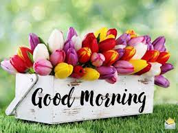 Our committed community of users submitted the good morning pictures you're currently browsing. The Best Good Morning Images Inspire A Better Day