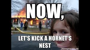 Announcement hornets nest vintage is my vintage shop for home decor, letterpress metal type hornets nest wants you to love your purchase! Commietube Just Kicked A Hornet Nest With Me