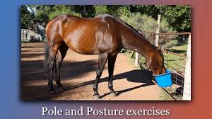 sites/2147484897/video/AGp5US4NQkGpzc3IntPI_Raquel_Post_Webinar_video_v2.mp4