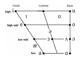 Image Result For Vowel Quadrilateral Phonetic Chart