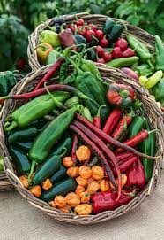 Epingle Par Nadia Laliberte Sur Legumes Fruits Et Legumes Gastronomie Fruits