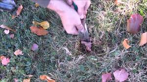 Для просмотра онлайн кликните на видео ⤵. Metal Detecting Bounty Hunter Sharp Shooter 2 And Lone Star Pro Youtube