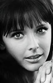 Бренда Скотт