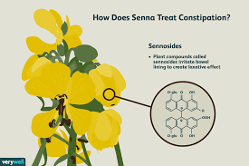 Senna is a tropical/ subtropical plant (250 species) containing sennosides. Senna Benefits Side Effects Dosage And Interactions