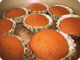 To test your baking powder, simply place a small amount in a dish and add water. How To Bake A Cake Without An Oven Dobby S Signature