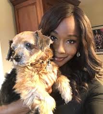 It's official. We went from fostering Lacey to adopting her last week.  Thank you PAWS Chicago ❤️