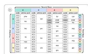 15 Use The Chart Below To Determine The Amino Acid Sequence