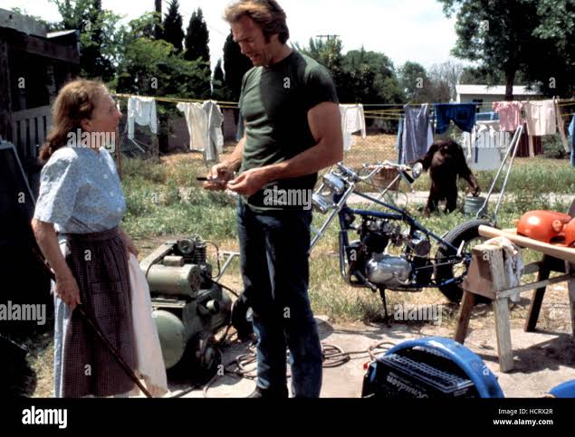 EVERY WHICH WAY BUT LOOSE, Ruth Gordon, Clint Eastwood, Clyde the  Orangutan, 1978 Stock Photo - Alamy