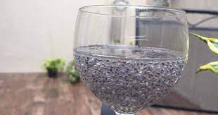 Tanaman ini masih kerabat daun mint. Resep Cara Mengolah Chia Seed Oleh Blossomville Kitchen Cookpad