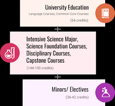 Programme Features - 6901 BSc - Undergraduate Programme ...
