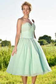 Light Emerald Green Chiffon Bow Bodice Dress Dresses Tea Length Dresses Strapless Dress Formal
