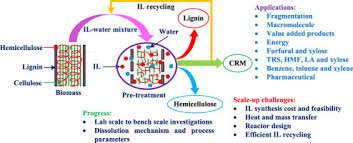 This review article provides an outline of the pyrolysis process including pretreatment of biomass, pyrolysis mechanism, and process products upgrading. Progress On The Pre Treatment Of Lignocellulosic Biomass Employing Ionic Liquids Sciencedirect