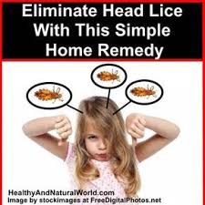 Doctors Won T Tell You This Listerine Vinegar Were Shown To Kill Head Lice Lice Remedies Head Louse Head Lice Remedy