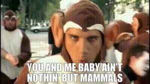 The real slim shady was not originally intended to be part of the marshall mathers lp. Yarn You And Me Baby Ain T Nothin But Mammals Bloodhound Gang The Bad Touch Video Gifs By Quotes 179cc2eb ç´—